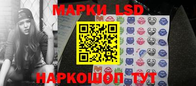винт Донецк