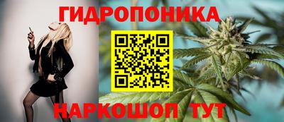 apvp Дубна