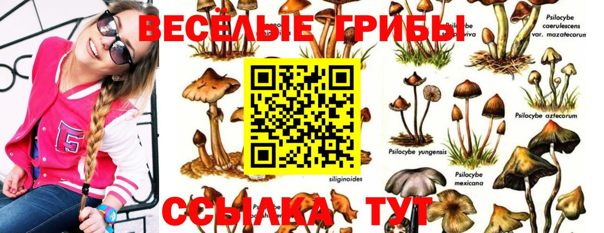 Мирный  Галлюциногенные грибы ЛСД  Галлюциногенные грибы прущие грибы  Вход с VPN 